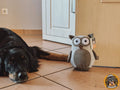 Großer Hund mit Hundespielzeug-Eule