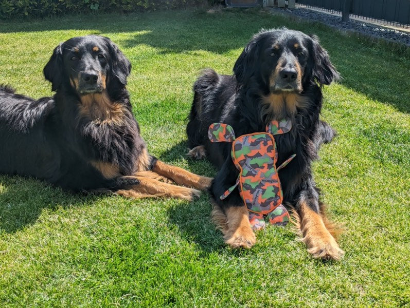 Zwei Hovawarts liegen auf Gras, einer mit TÜV-zertifiziertem Hundespielzeug Waldi im Tarnmuster von Major Dog