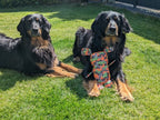 Zwei Hovawarts liegen auf Gras, einer mit TÜV-zertifiziertem Hundespielzeug Waldi im Tarnmuster von Major Dog