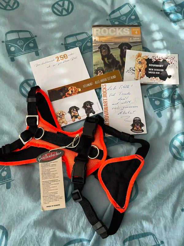 Eine Reihe von Hundezubehör und Fanartikeln liegt auf einem gemusterten Stoff mit VW Käfer- und Bulli-Motiven. Im Vordergrund liegt ein orange-schwarzes Hundegeschirr der Marke Grossenbacher. Daneben sind verschiedene bedruckte Karten und Broschüren zu sehen: Eine Dankeskarte, eine Broschüre mit Hovawart-Welpen und dem Titel "HOVAWART - ALLES ANDERS IST HUND", eine Karte mit dem Spruch "HOVAWART NEN SCHEISS MUSS ICH", und ein "ROCKS"-Magazin. Eine handgeschriebene Nachricht ist ebenfalls sichtbar. Ein klei…