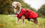 Wintermantel rot an einem grossen Hund auf der Wiese