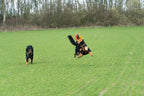 Sehr stabiles Wurf- und Zerrspielzeug für den Hund