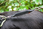 Zugstopper für die Hundeleine an einem Hovawart