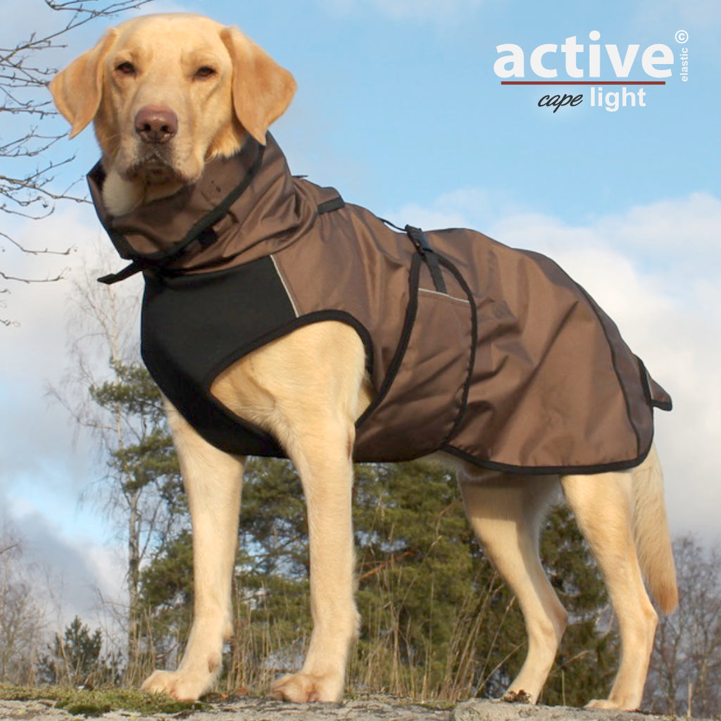 Großer Hund trägt Outdoor-Mantel