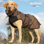 Großer Hund trägt Outdoor-Mantel