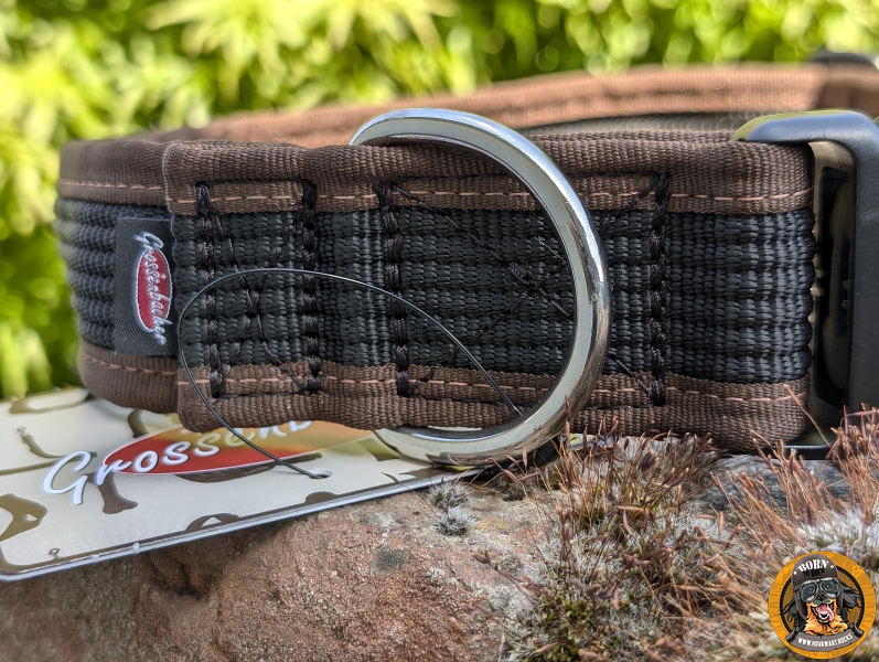 breites Hundehalsband von Grossenbacher auf einer Mauer