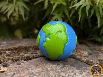 Planet-Ball-Hundespielzeug auf einer Mauer