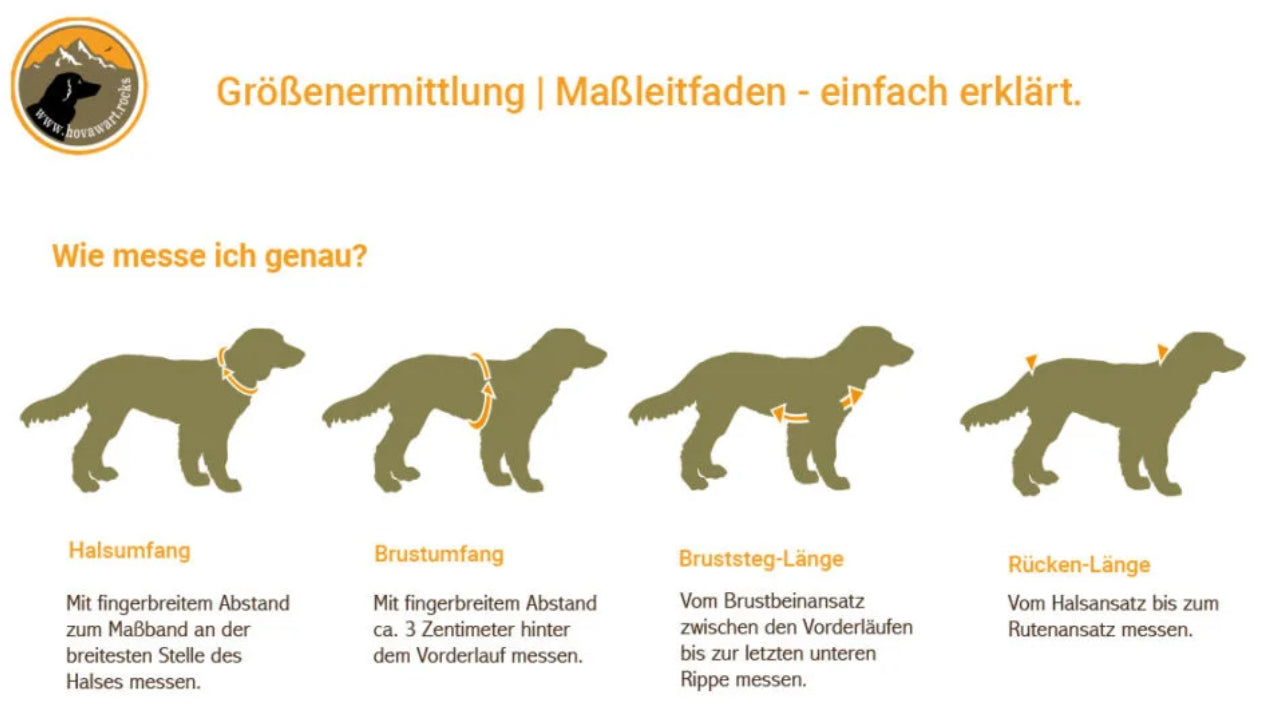 Hund Maße nehmen, Ausrüstungsanleitung