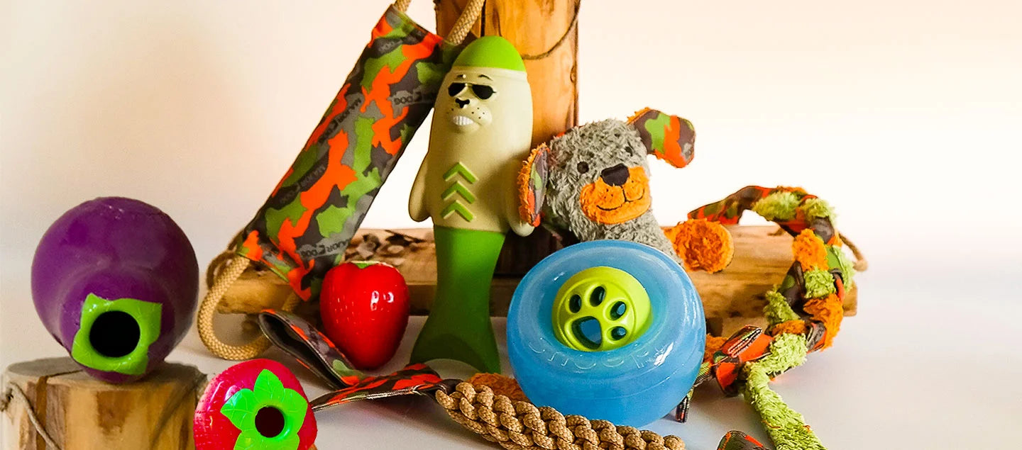 Spiel- & Trainingszeug für große und sportliche Hunde