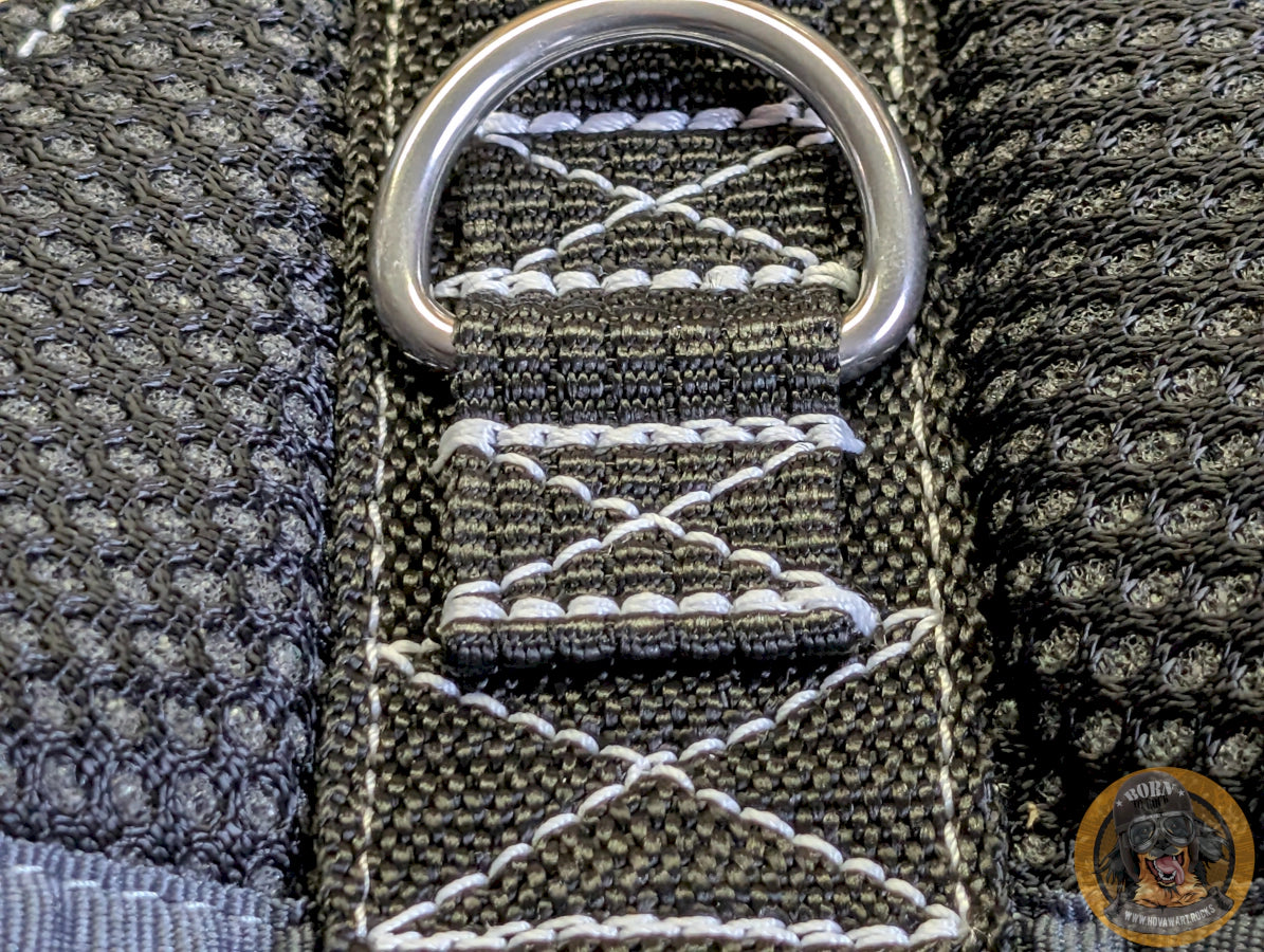 Naht und Ring von einem Hundegeschirr