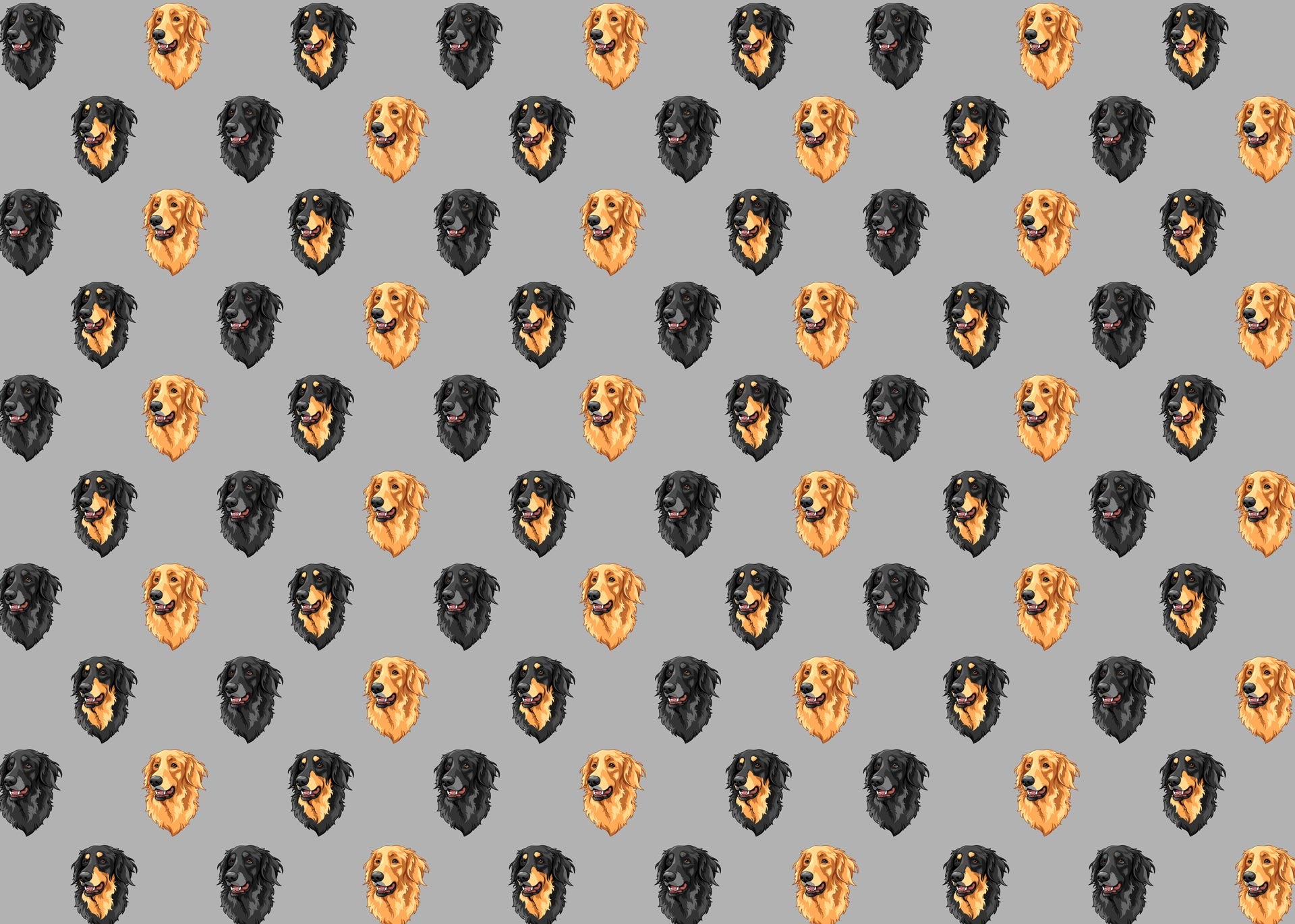 Hundekopf-Muster, verschiedene große Hunde