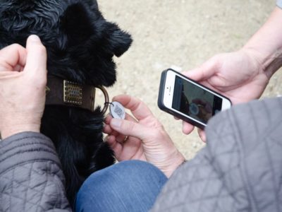 Hundemarke mit QR Code für ein schnelles auffinden deines Hundes