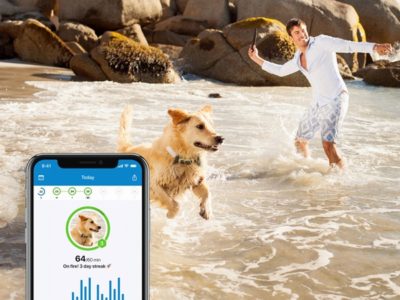 Der bisher genauste und energiesparendste GPS-Tracker für Hunde. Orte deinen Hund ganz einfach in Echtzeit