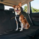 Rücksitzbank Schutz für dein Auto