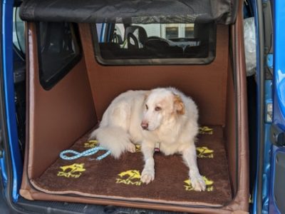 Hundebox Kofferraum für große Hunde wie den Hovawart