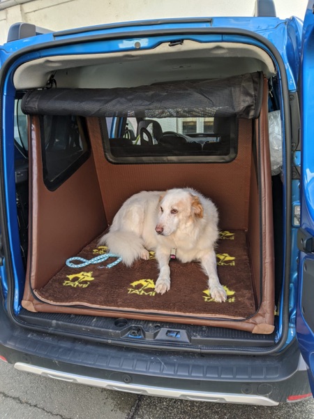 Hundebox Kofferraum für große Hunde wie den Hovawart
