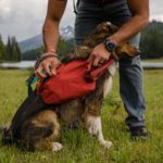 Hunde Rucksck für Wanderungen oder Tagestouren