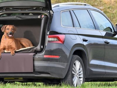 Hundebox mit Airbagfunktion für grosse Hunde