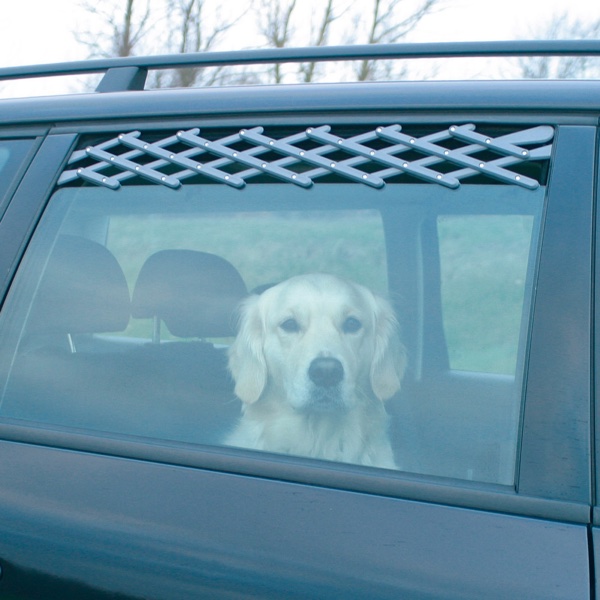 Autofrischluftgitter an einem Auto mit Hund