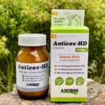 Anticox-HD Gelenk Aktiv