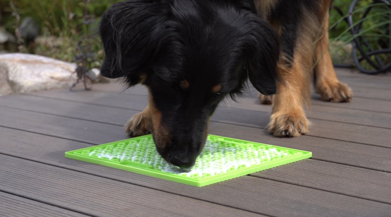 LickiMat mit einem Hund, der Futter davon leckt, dies reduziert Stress