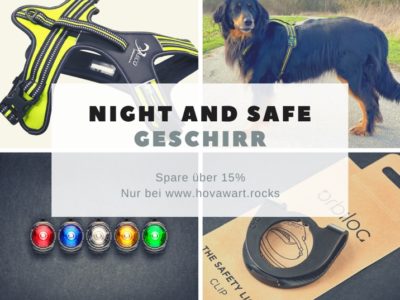 Night and Safe Geschirr