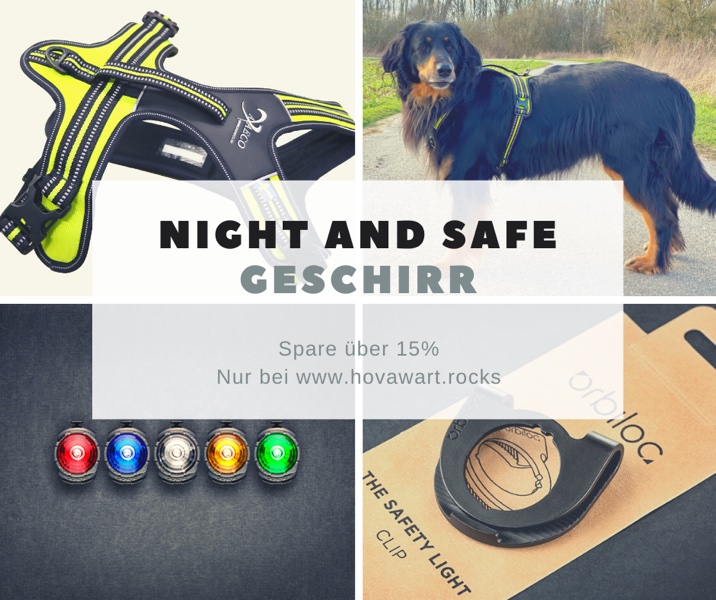 Night and Safe Geschirr