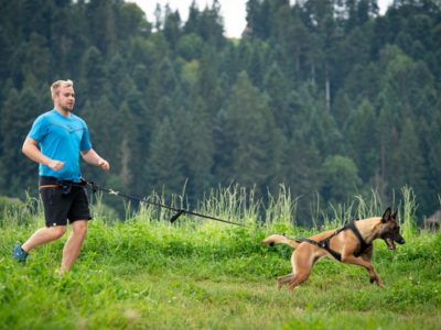 Jogger mit Joggingleine Hund Hund