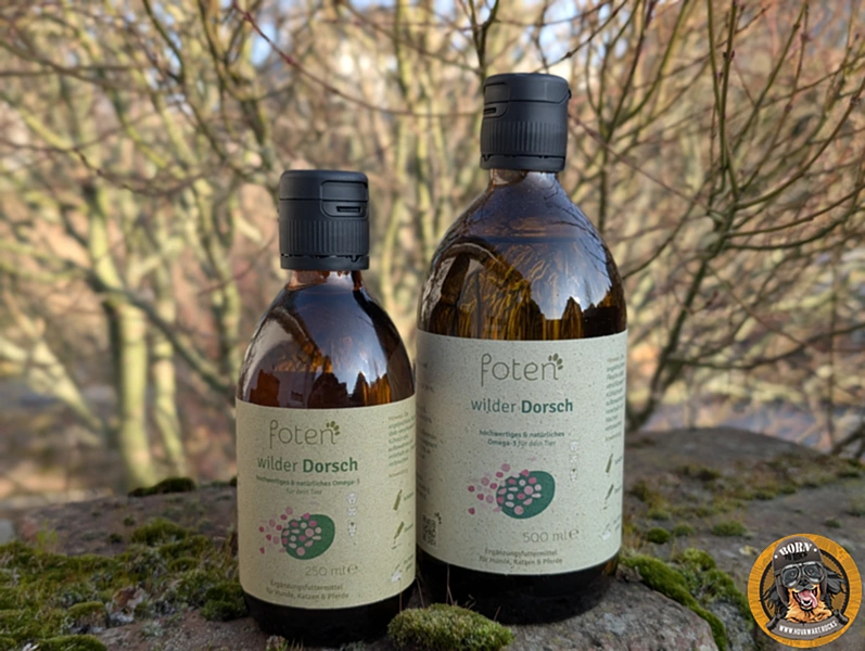 Zwei braune Glasflaschen des Omega-3-Öls 'foten wilder Dorsch' stehen nebeneinander auf einer Steinmauer im Freien. Links die kleinere 250ml-Flasche, rechts die größere 500ml-Flasche. Das Etikett zeigt rosa und grüne Punkte sowie den Text 'hochwertiges & natürliches Omega-3'.
