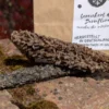 getrockneter grüner Pansen