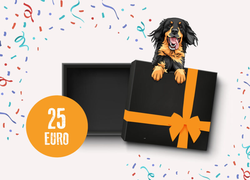 25 Euro Gutschein mit comicartigem Hovawart