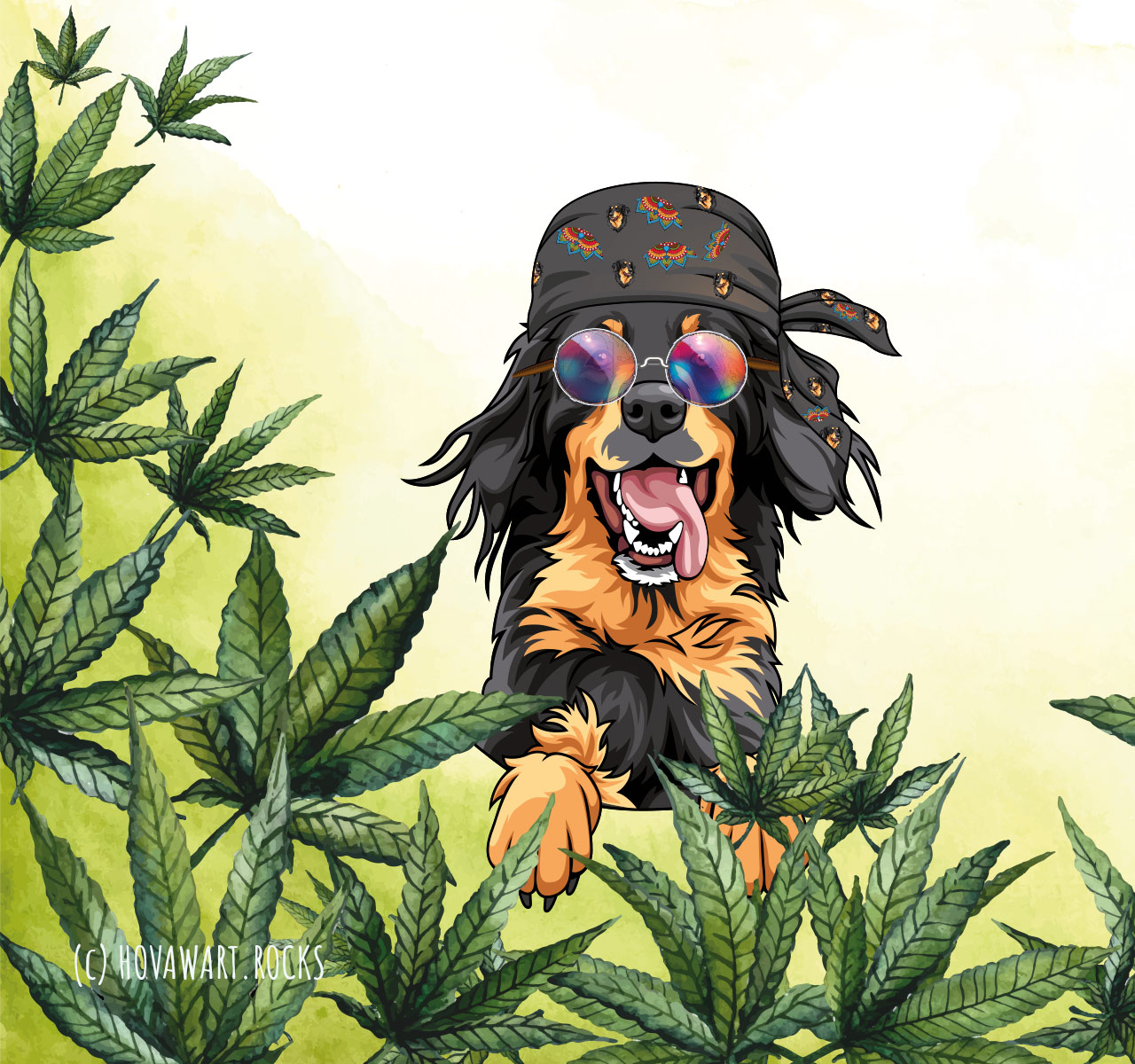 Lustiger Hovawart mit Hippie-Stirnband und runder Sonnenbrille in einem Hanffeld, symbolisiert das Thema Hanfprodukte für Hunde