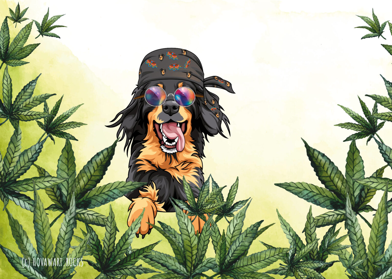 Lustiger Hovawart mit Hippie-Stirnband und runder Sonnenbrille in einem Hanffeld, symbolisiert das Thema Hanfprodukte für Hunde