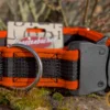 Grossenbacher Halsband orange