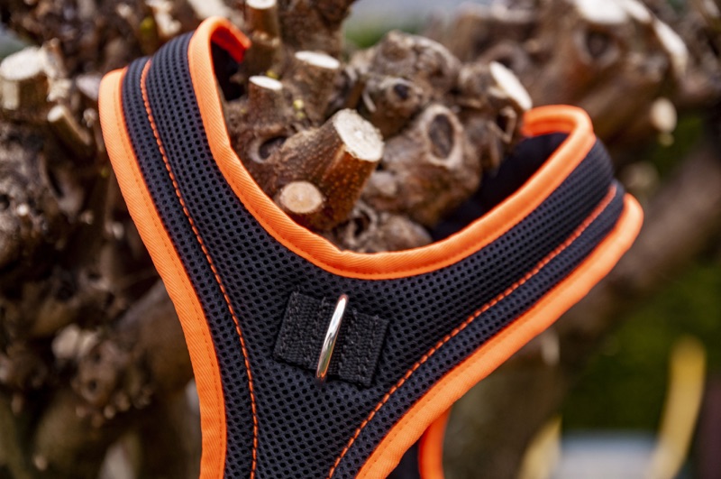 Standard Alltags Hundegeschirr mit Brustring